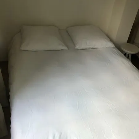 招待所 鸢尾花别墅旅馆 4*