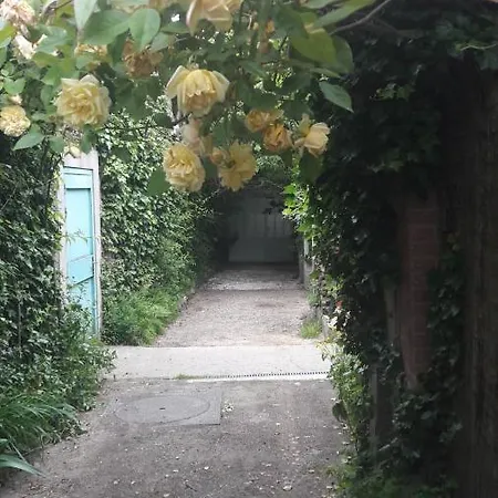 招待所 鸢尾花别墅旅馆